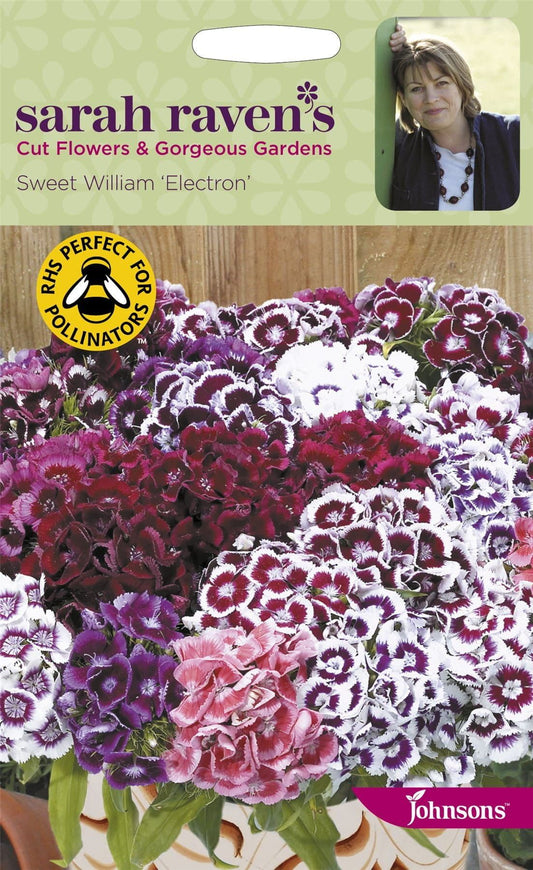 Johnsons Sarah Raven's Sweet William Electron 200 Seeds