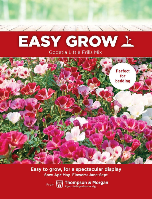 Thompson & Morgan - EasyGrow - Flower - Godetia - Little Frills Mix - 400 Seeds