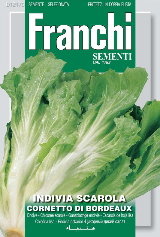 Franchi Seeds of Italy Endive Cornetto Di Bordeaux Seeds