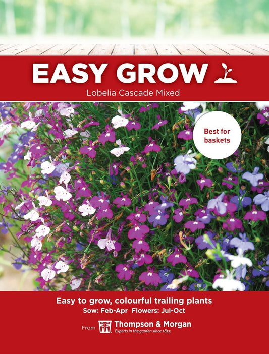 Thompson & Morgan - EasyGrow - Flower - Lobelia - Cascade Mixed - 500 Seeds