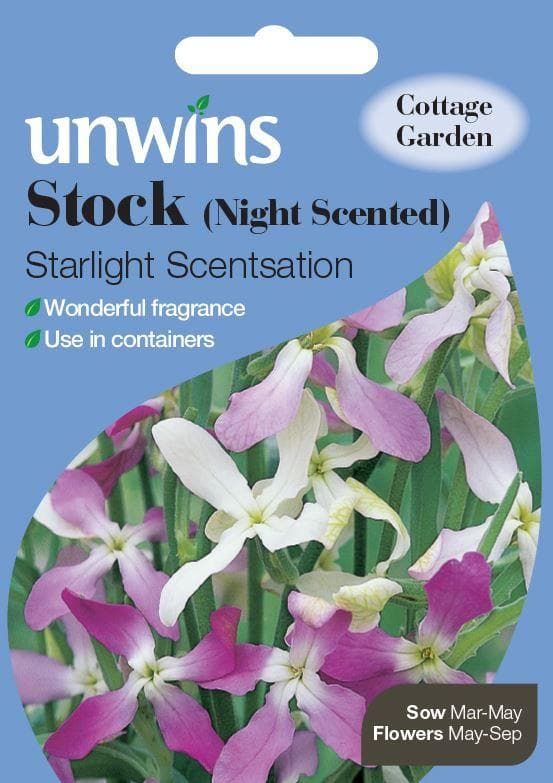 Unwins Stock (Night Scented) Starlight Scentsation 1300 Seeds
