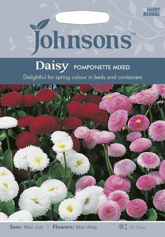 Johnsons Daisy Pomponette Mixed 250 Seeds