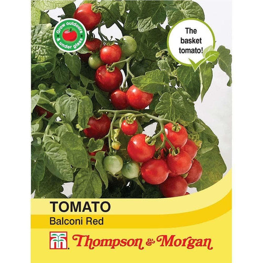 Thompson & Morgan Tomato Balconi Red 15 Seed