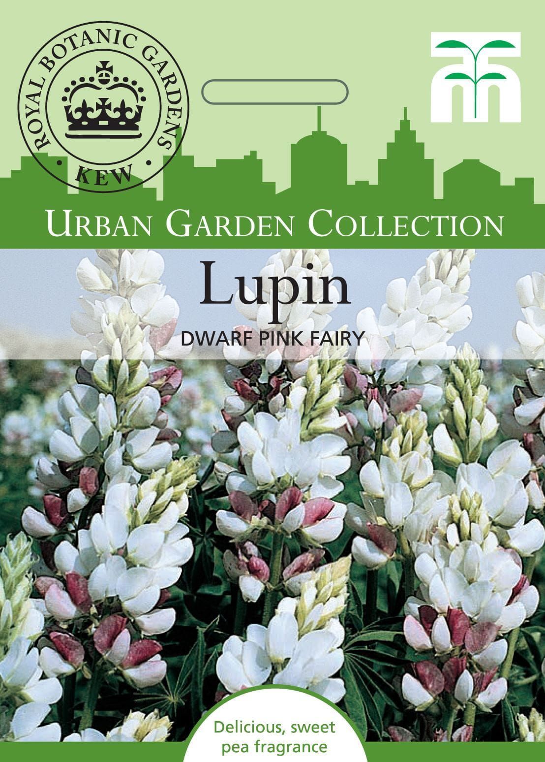 Thompson & Morgan Urban Garden Flowers Lupin Dwarf Pink Fairy 40 Seed