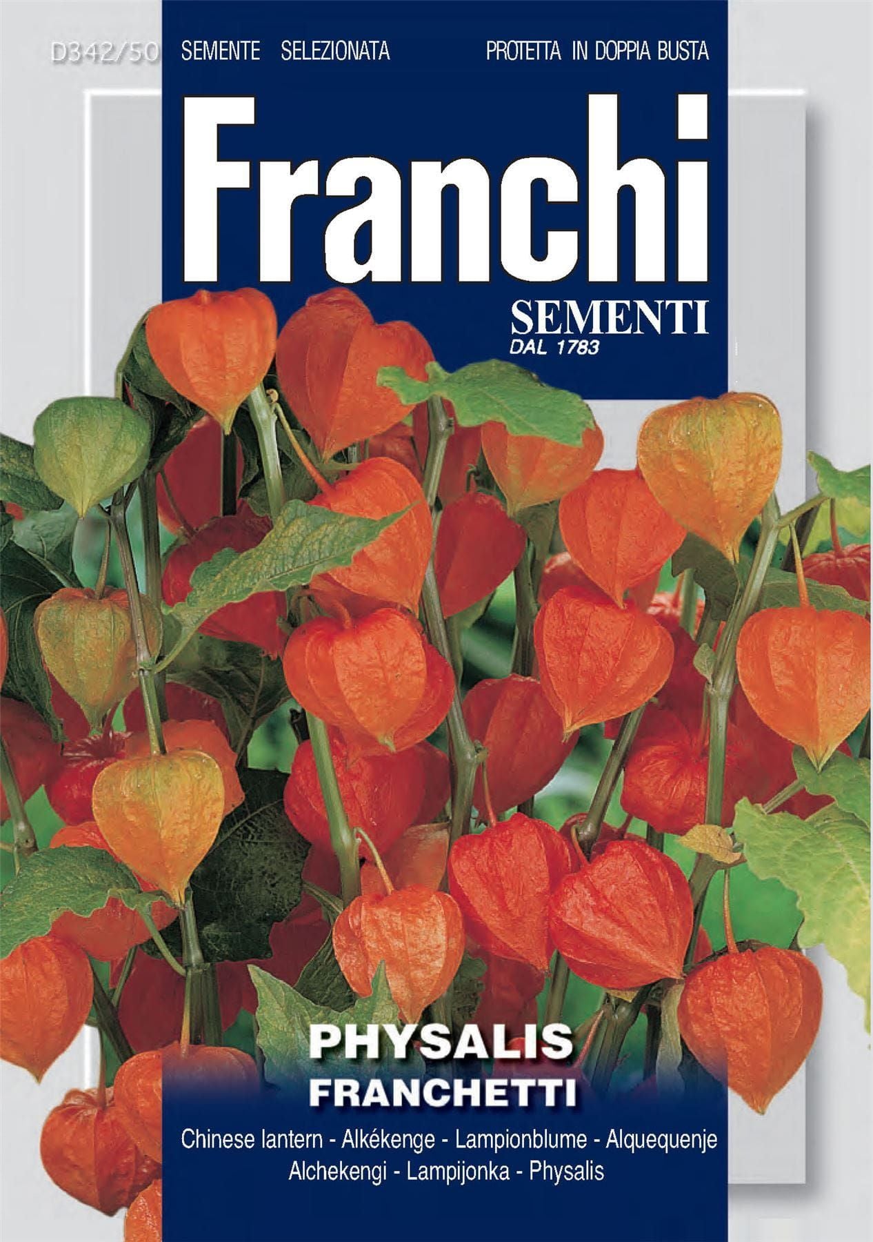 Franchi Seeds of Italy - Flower - FDBF_ 342-50 - Physalis Franchetti - Seeds