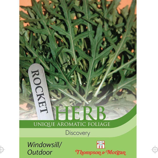 Thompson & Morgan Herb Rocket Discovery 750 Seed