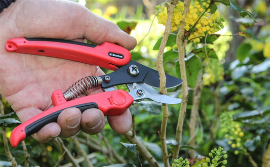 Darlac DP332 Compound Action Pruner Garden Secateurs UK SHIPPING ONLY