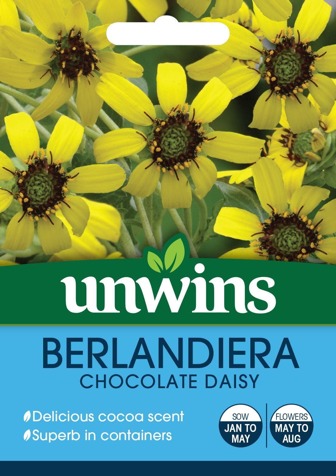 Unwins Berlandiera Chocolate Daisy 15 Seeds