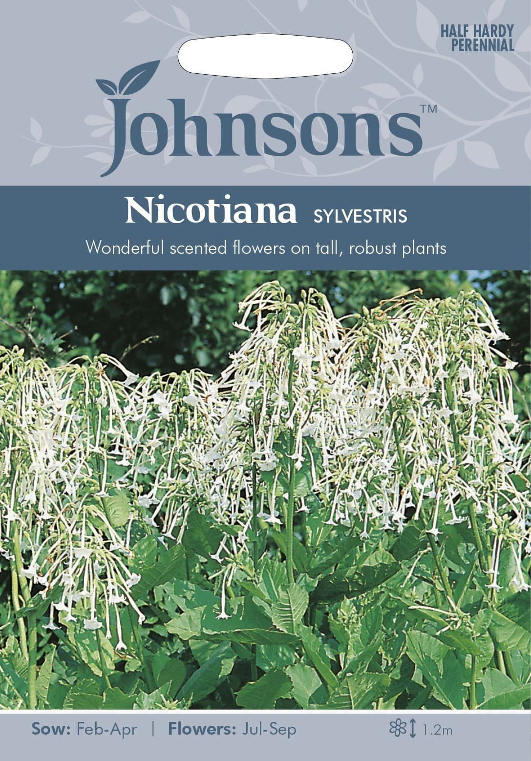Johnsons Nicotiana Sylvestris 2000 Seeds