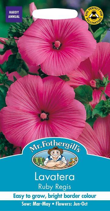 Mr Fothergills - Flower - Lavatera - Ruby Regis Seeds