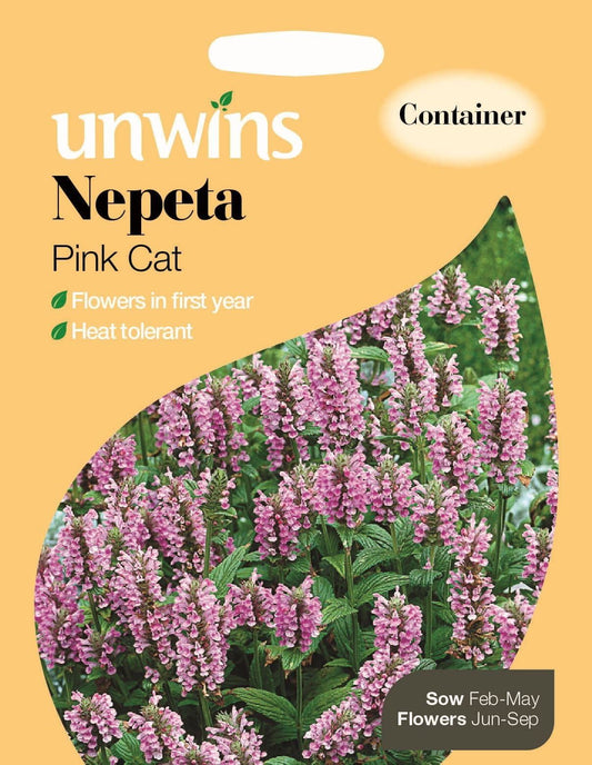 Unwins Nepeta Pink Cat 20 Seeds