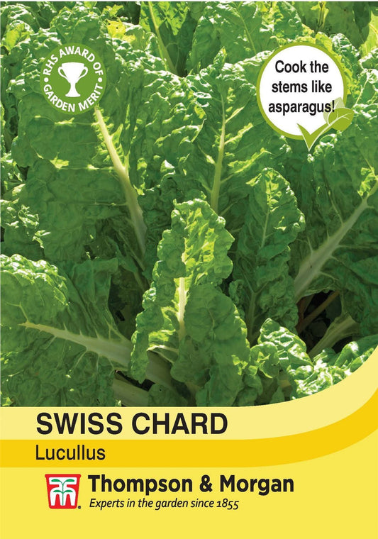 Thompson & Morgan Swiss Chard Lucullus 200 Seed