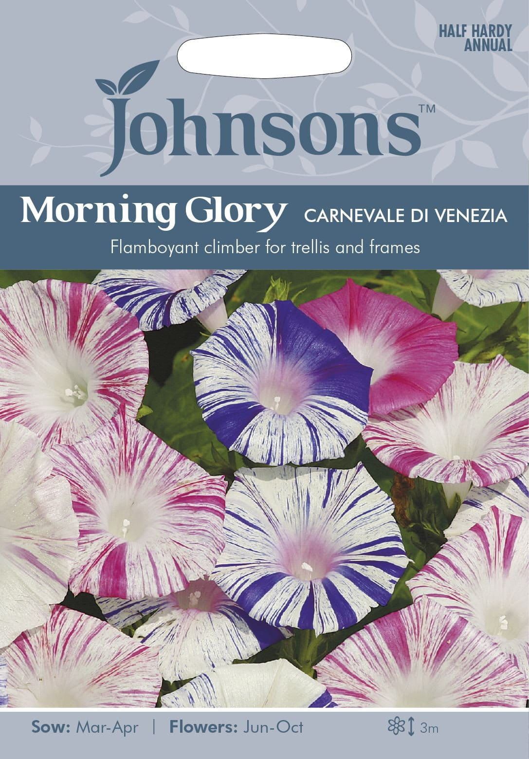 Johnsons Morning Glory Carnivale di Venezia 30 Seeds