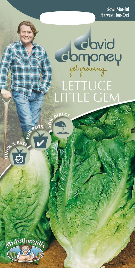 Mr Fothergills - David Domoney - Vegetable - Lettuce Little Gem - Pasatiempo - 500 Seeds
