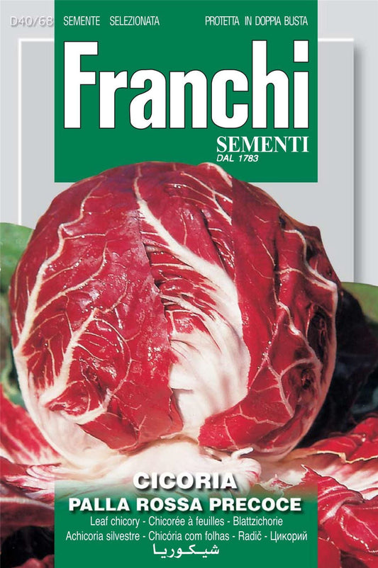 Franchi Seeds of Italy Chicory Palla Rossa 3 - Seeds