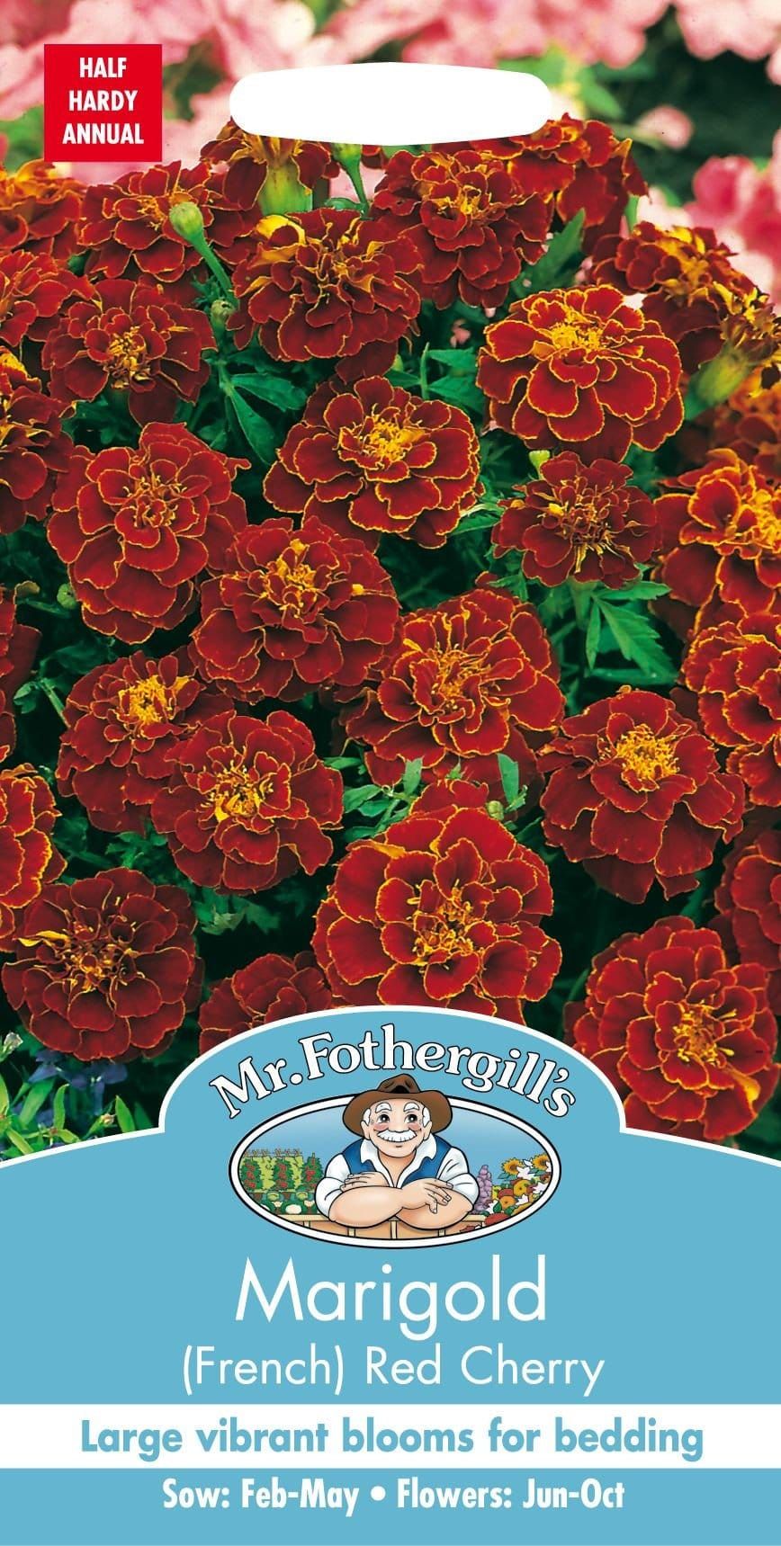 Mr Fothergills Marigold (French) Red Cherry 60 Seeds