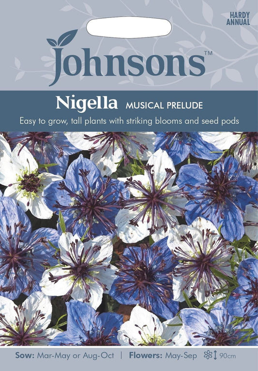Johnsons Nigella Love in a Mist Musical Prelude 200 Seeds