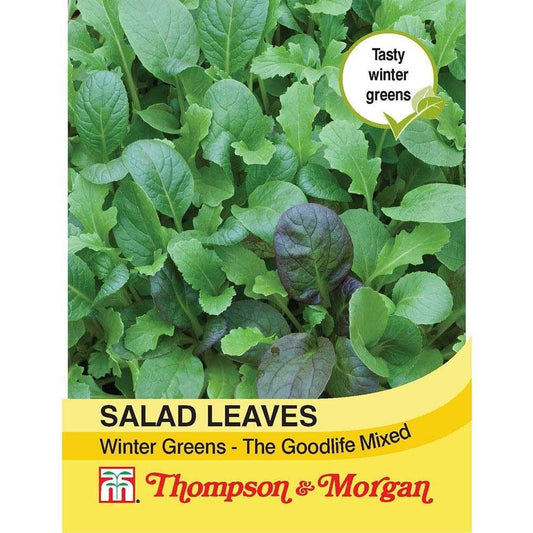 Thompson & Morgan Salad Leaves Winter Greens The Good Life Mixed 125 Seed
