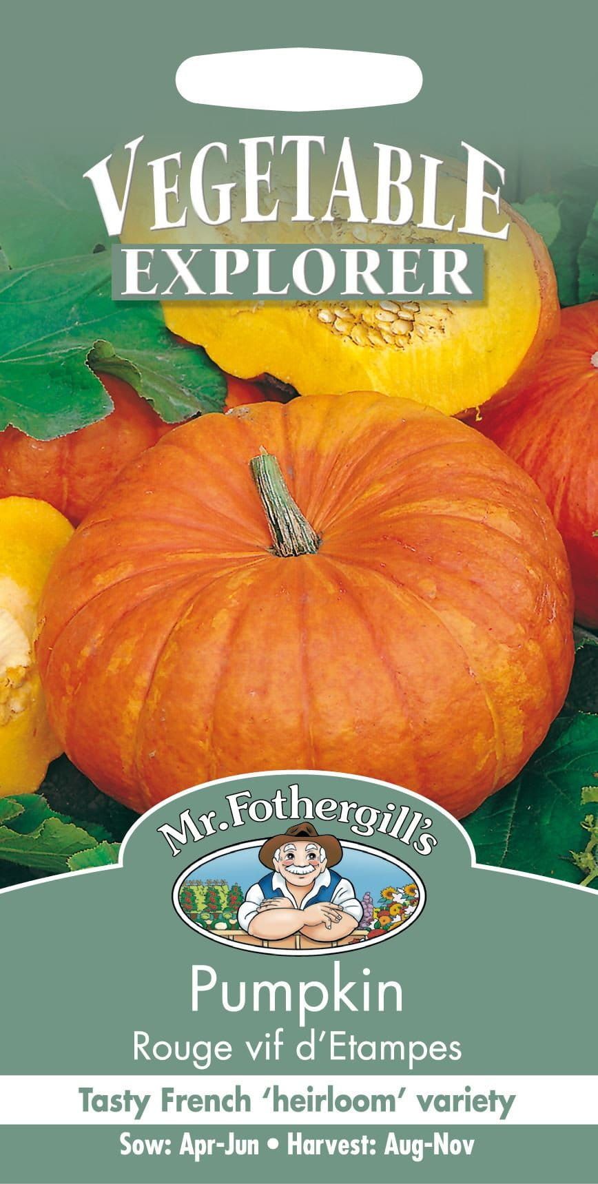 Mr Fothergills Pumpkin Rouge Vif d'etampes 10 Seeds