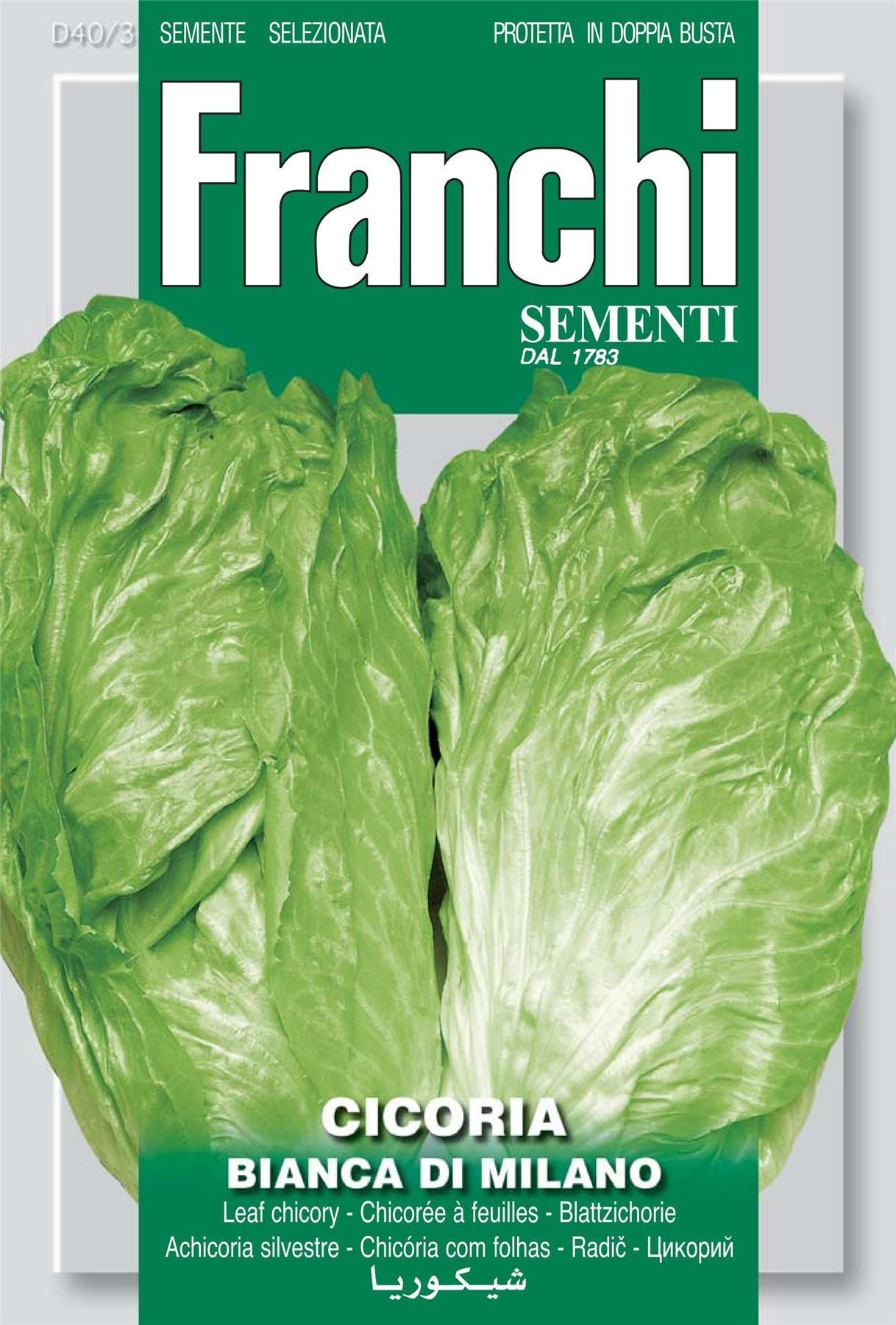 Franchi Seeds of Italy - DBO 40/3 - Chicory - Bianca Di Milano - Seeds