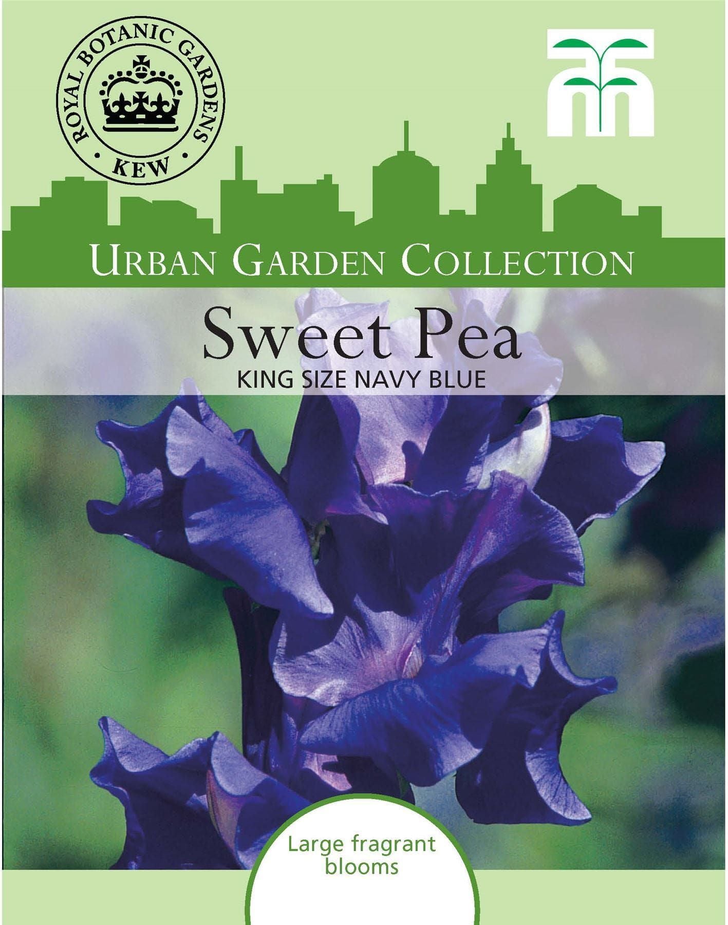 Thompson & Morgan Urban Garden Flowers Sweet Pea King Size Navy Blue 20 Seed