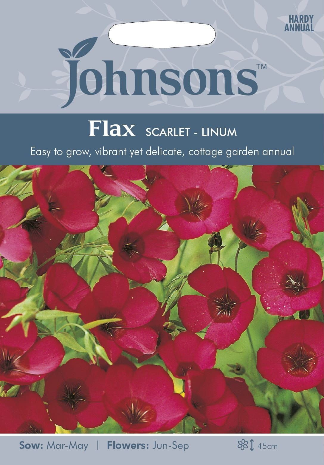 Johnsons Flower Flax Scarlet Linum 450 Seeds