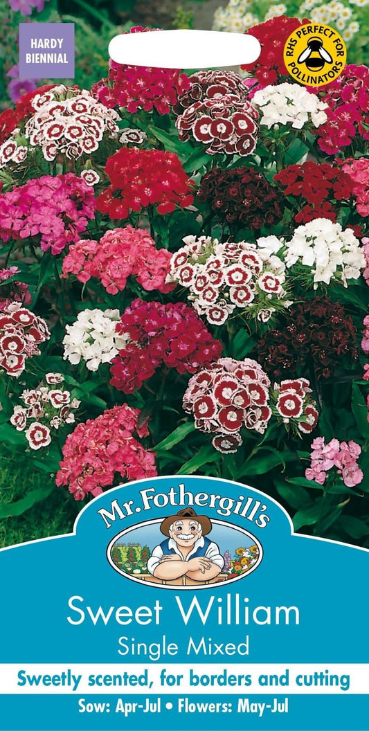Mr Fothergills Sweet William Single Mixed 500 Seeds