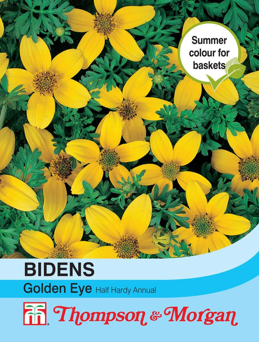Thompson & Morgan Bidens Golden Eye 75 Seed