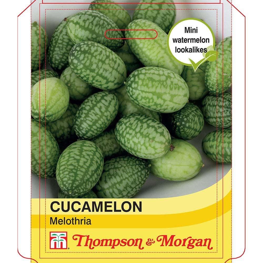 Thompson & Morgan - Vegetable - Cucamelon - 20 Seeds