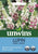 Unwins Lupin Pink Fairy 40 Seeds