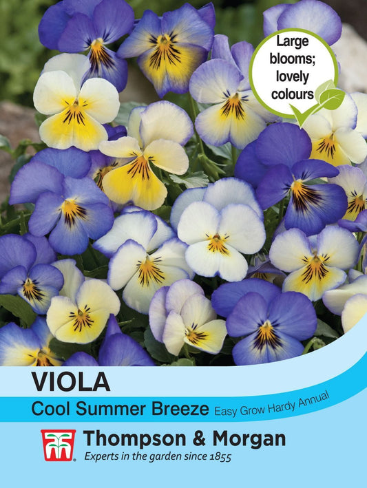 Thompson & Morgan - Flower - Viola - Cool Summer Breeze Takii Mixed - 50 Seeds