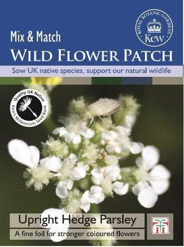 Thompson & Morgan Kew Wild Flower Patch Upright Hedge Parsley 50 Seeds