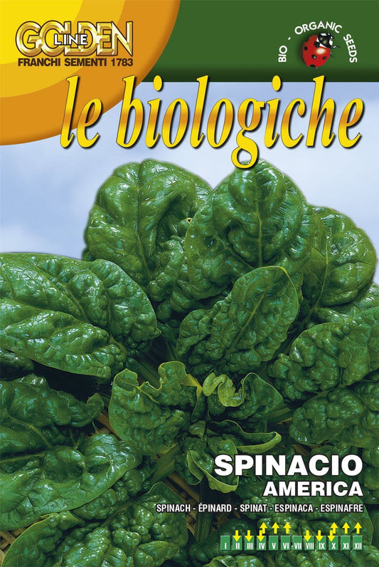 Franchi Organic BIOB127/18 Spinach America Seeds