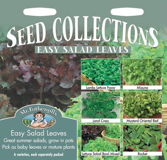 Mr Fothergills Easy Salad Leaves Collection 6 Varieties