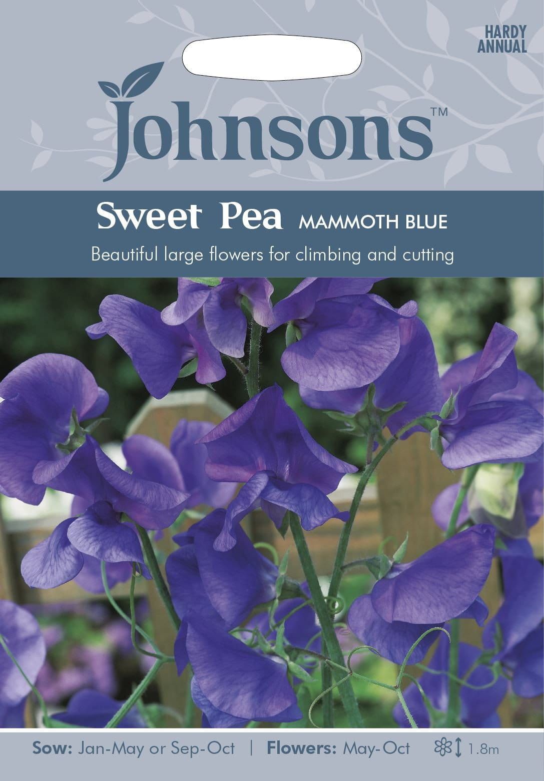 Johnsons Sweet Pea Mammoth Blue 35 Seeds