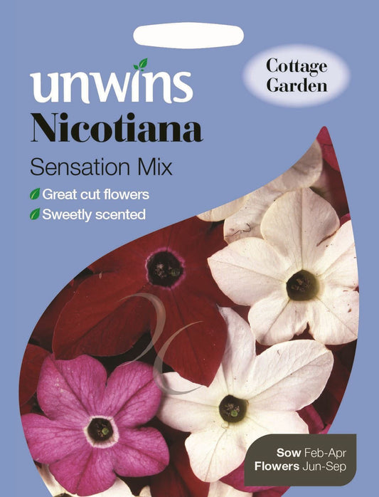 Unwins Nicotiana Sensation Mix 2500 Seeds