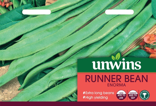 Unwins Runner Bean Enorma 50 Seeds