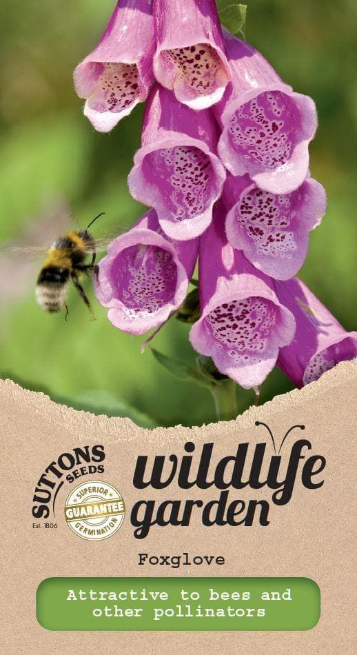 Sutton Seeds - Wild Foxglove Seeds