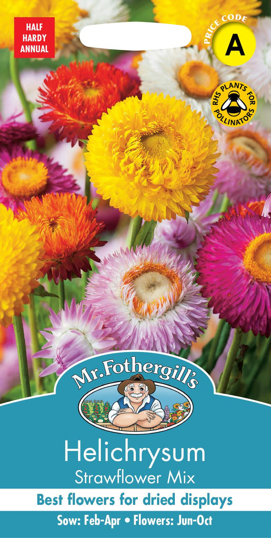 Mr Fothergills - Flower - Helichrysum - Strawflower Mix - 250 Seeds