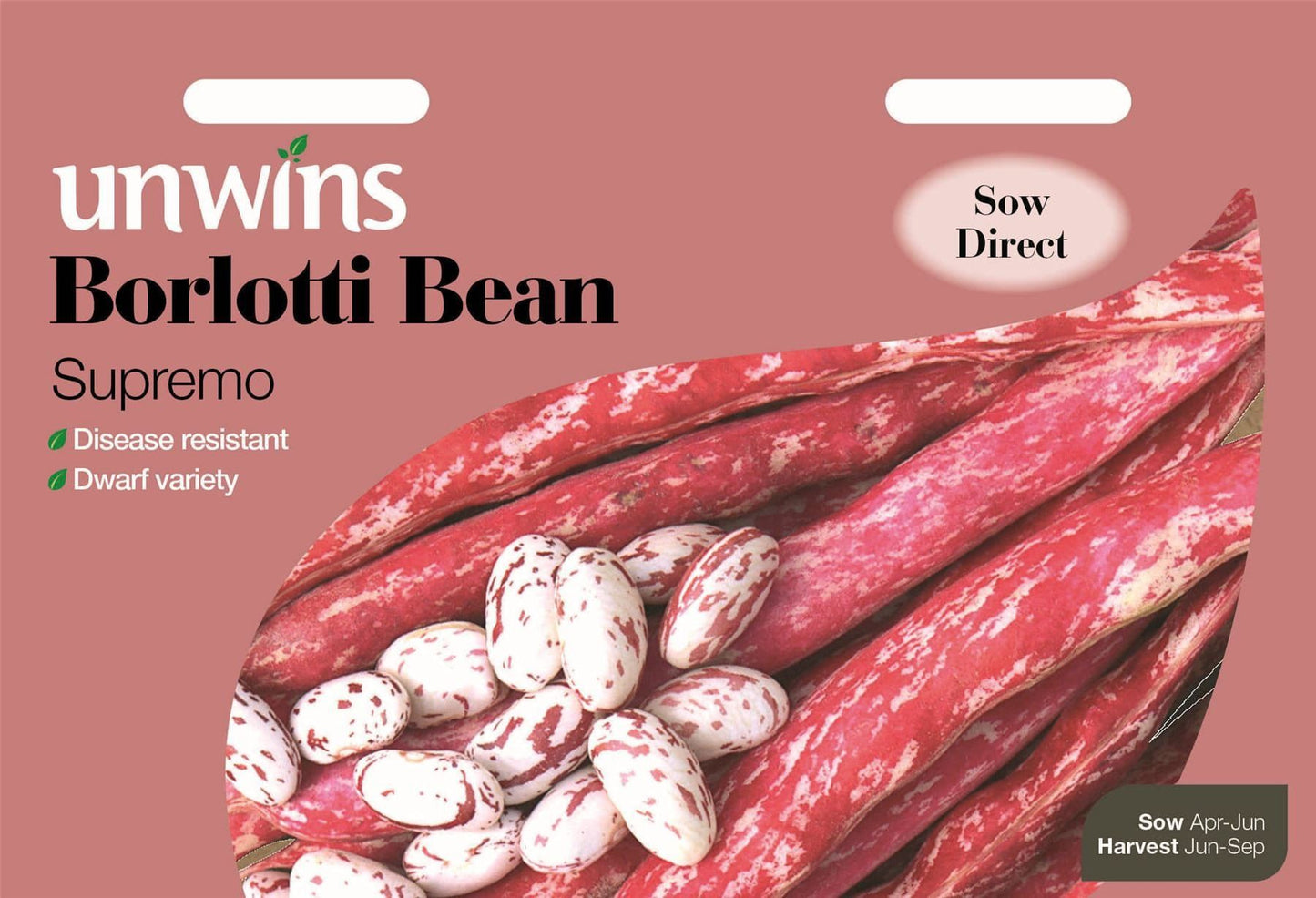 Unwins Borlotti Bean Supremo 50 Seeds