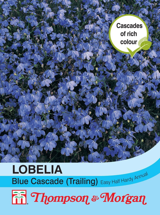 Thompson & Morgan Trailing Lobelia Blue Cascade Seed