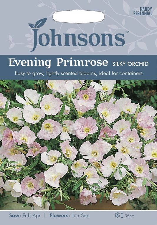 Johnsons Evening Primrose Silky Orchid 250 Seeds