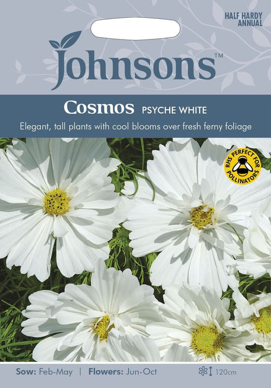 Johnsons Cosmos Psyche White 60 Seeds