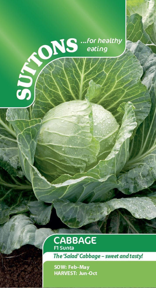 Sutton Seeds - Cabbage Seeds   F1 Sunta
