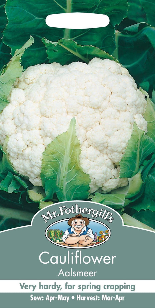 Mr Fothergills Cauliflower Aalsmeer 75 Seeds