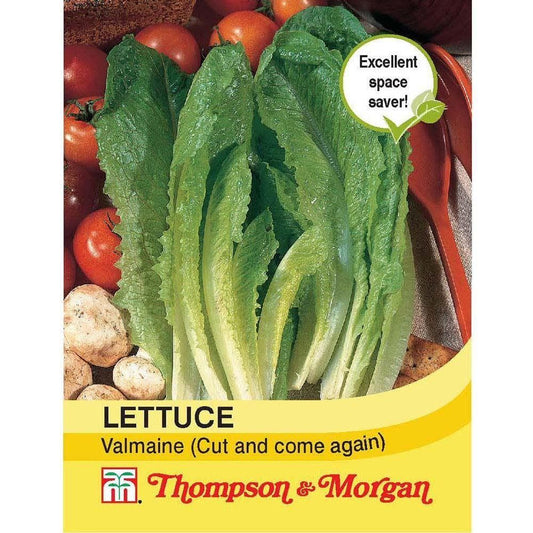 Thompson & Morgan Lettuce Valmaine (Cut And Come Again) 800 Seed