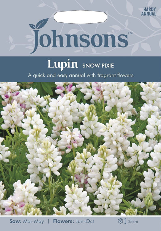 Johnsons Lupin Snow Pixie 30 Seeds