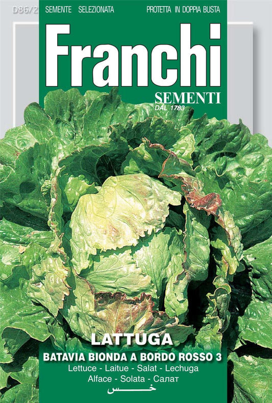 Franchi Seeds of Italy Lettuce Bionda A Bordo Rosso 3 Seeds