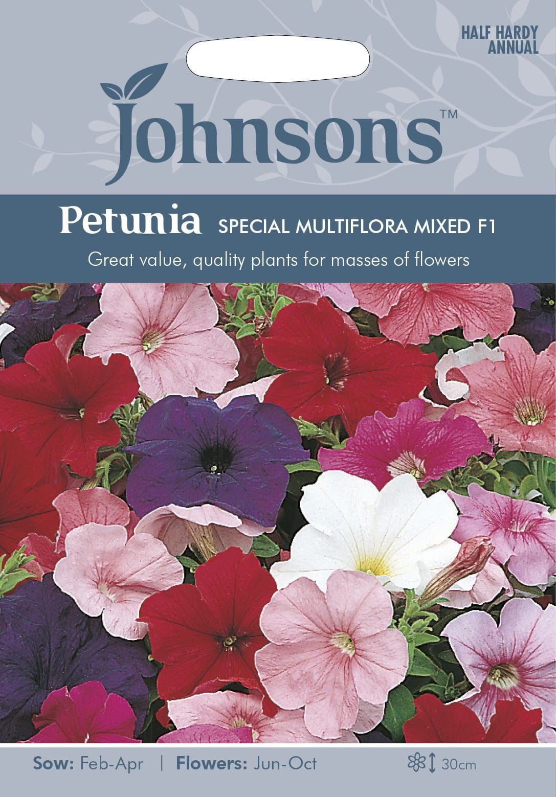 Johnsons Petunia Special Multiflora Mixed F1 120 Seeds