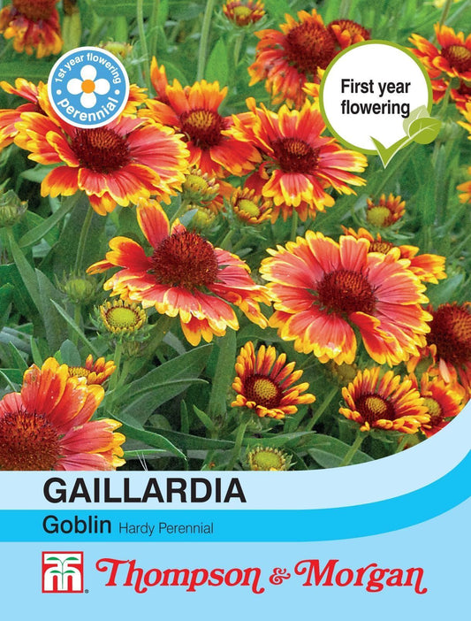 Thompson & Morgan Gaillardia Goblin 100 Seed